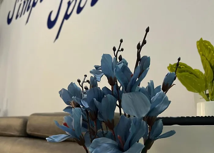 Simplespot Τίρανα